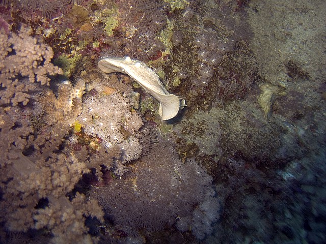 CRW_3794.jpg