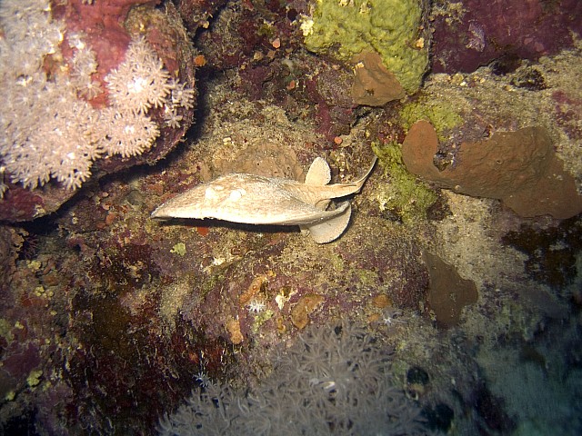 CRW_3797.jpg