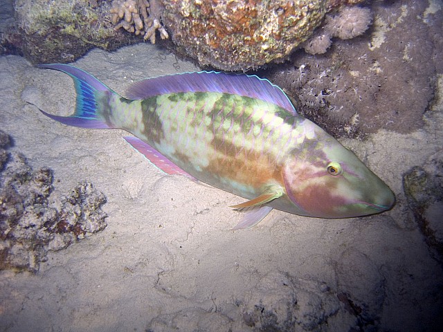 CRW_3809.jpg