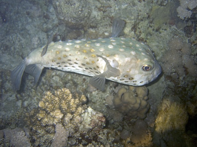 CRW_3810.jpg