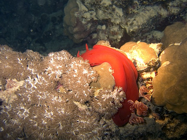 CRW_3811.jpg