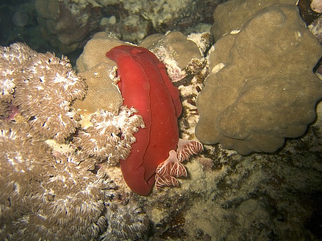 CRW_3812.jpg