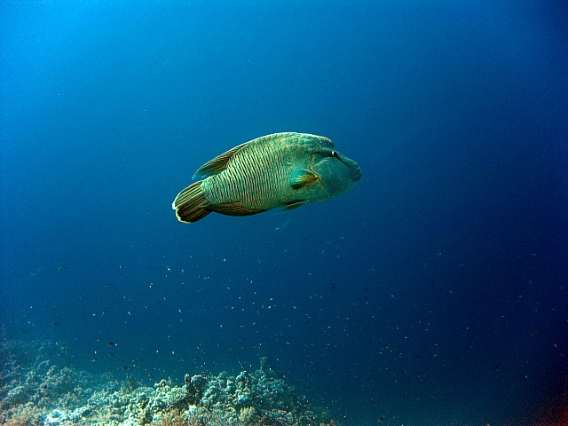 CRW_3819.jpg