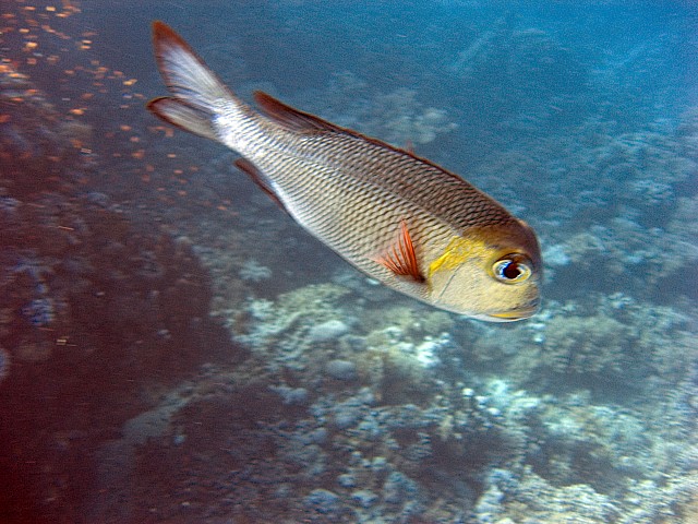 CRW_3826.jpg