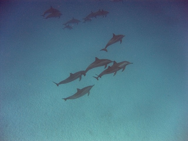 CRW_3842.jpg