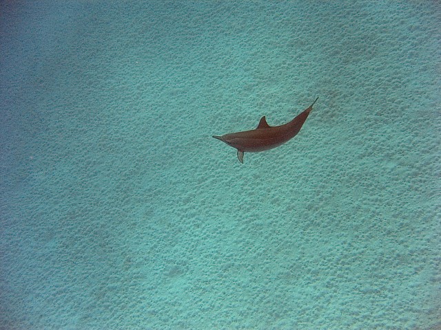 CRW_3844.jpg