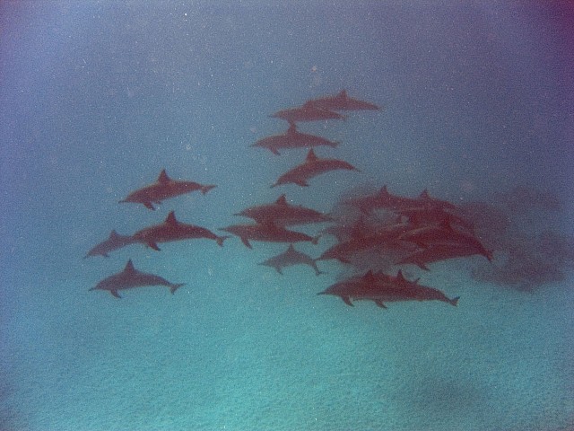 CRW_3846.jpg