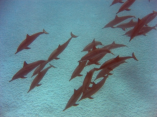CRW_3847.jpg
