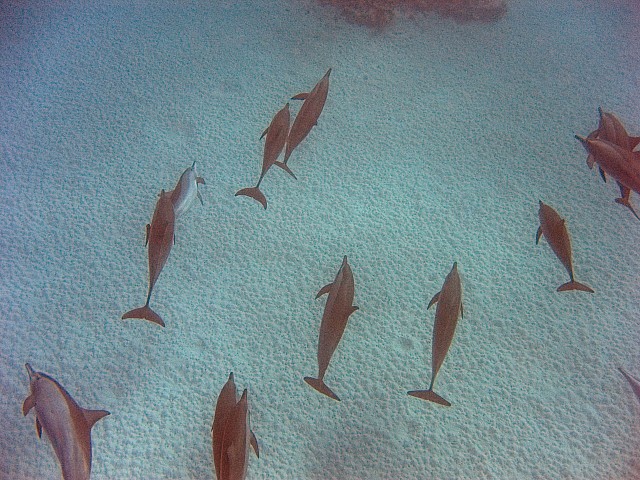 CRW_3848.jpg