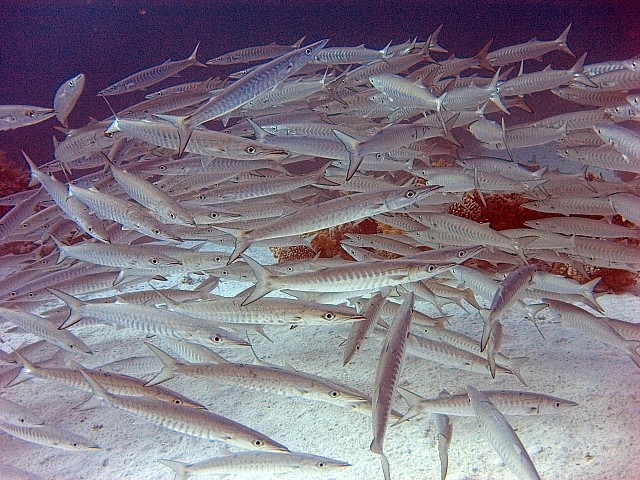 CRW_3862.jpg