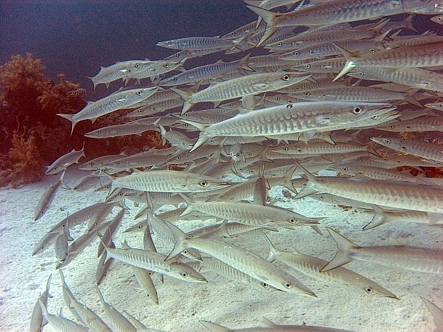 CRW_3863.jpg