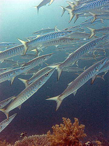 CRW_3867.jpg