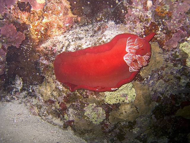 CRW_3878.jpg