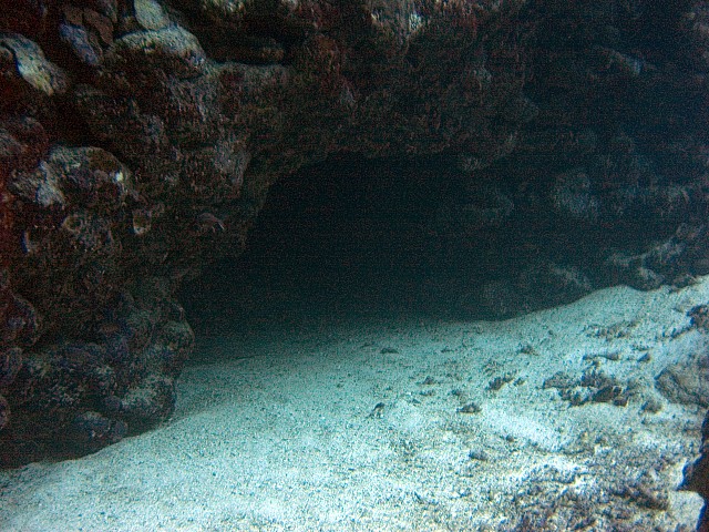 CRW_3898.jpg