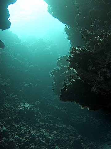 CRW_3904.jpg