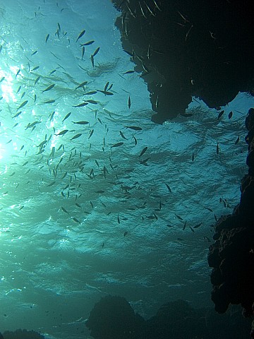 CRW_3905.jpg