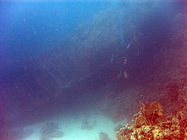 CRW_3936.jpg
