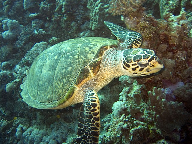 CRW_3985.jpg