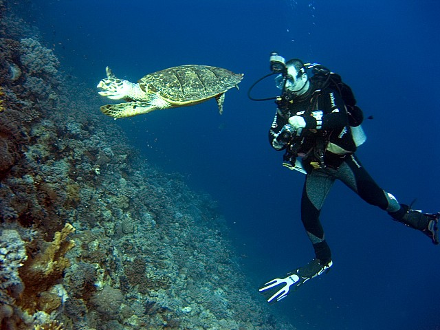 CRW_3990.jpg