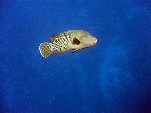 CRW_4003.jpg