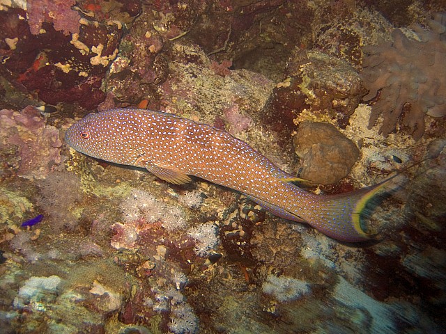 CRW_4012.jpg