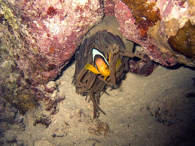 CRW_4031.jpg