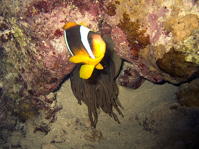 CRW_4032.jpg