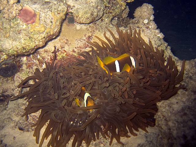CRW_4044.jpg