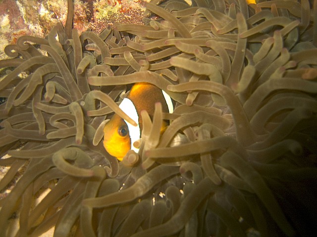 CRW_4046.jpg