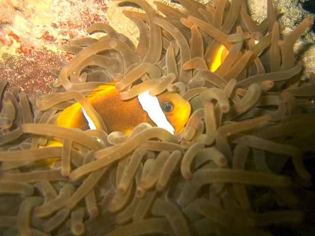 CRW_4048.jpg