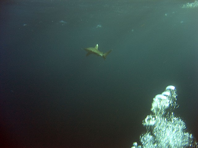 CRW_4060.jpg