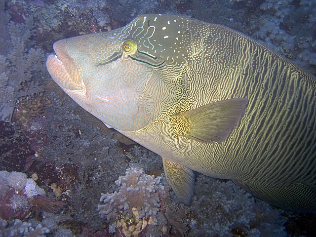 CRW_4096.jpg