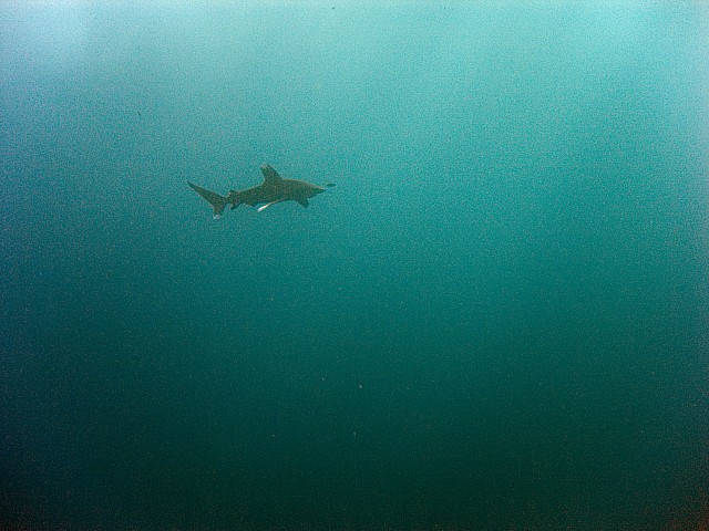 CRW_4098.jpg