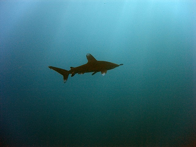 CRW_4099.jpg