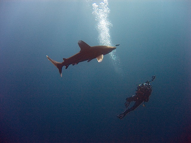 CRW_4100.jpg