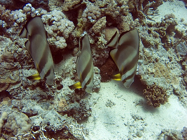 CRW_4130.jpg