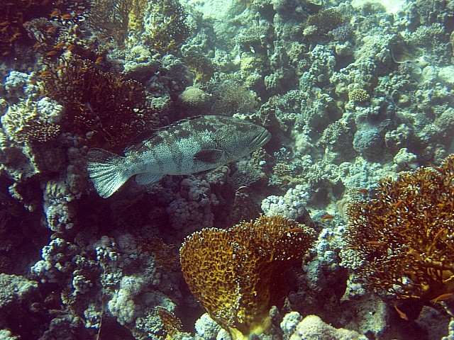 CRW_4138.jpg