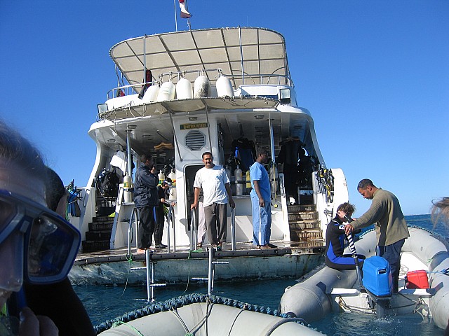 crw_3838.JPG