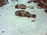 CRW_3433.jpg