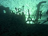CRW_3467.jpg