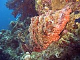 CRW_3554.jpg