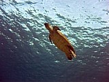 CRW_3605.jpg