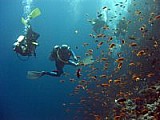 CRW_3618.jpg
