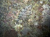 CRW_3708.jpg