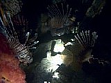 CRW_3717.jpg