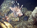 CRW_3720.jpg