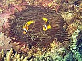 CRW_3745.jpg