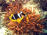 CRW_3778.jpg