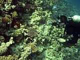 CRW_3780.jpg