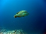 CRW_3819.jpg
